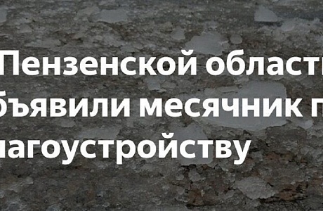Начинается месячник по благоустройству и санитарной очистке в Пензенской области Начинается месячник по благоустройству и санитарной очистке в Пензенской области
