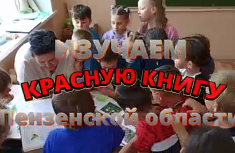 День эколога. «Дикая зарядка».