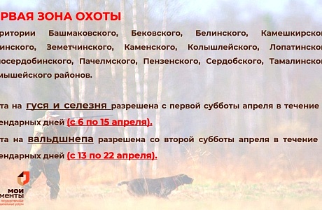 СТАРТ ВЕСЕННЕГО СЕЗОНА ОХОТЫ‼ СТАРТ ВЕСЕННЕГО СЕЗОНА ОХОТЫ‼