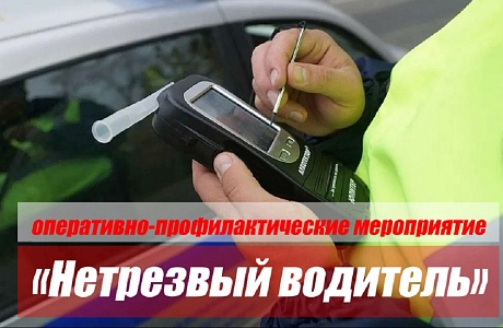 На территории Лунинского и Иссинского районов пройдут массовые проверки водителей на состояние опьянения