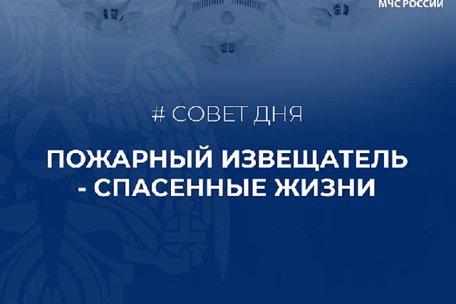 Совет дня