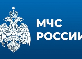 Оперативный ежедневный прогноз