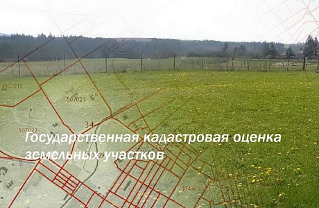 На территории Пензенской области в ЕГРН внесены результаты государственной кадастровой оценки
