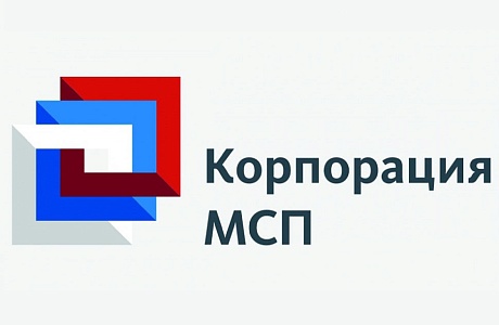 Предпринимателям Пензенской области доступны меры поддержки Корпорации МСП и Центрального банка России