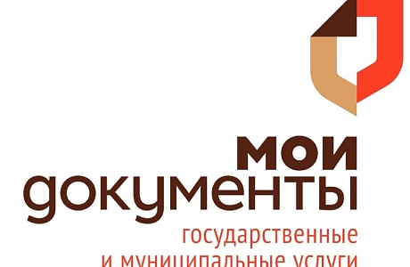МФЦ Пензенской области за 5 месяцев 2021 года предоставили более 623 тысяч услуг населению