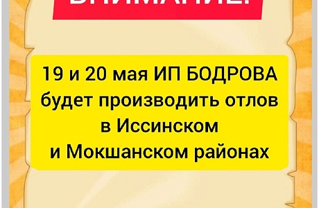 Берегите своих питомцев! Берегите своих питомцев!