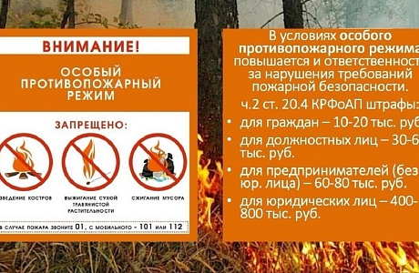 С 1 июня 2024 г. на территории Пензенской области действует особый противопожарный режим С 1 июня 2024 г. на территории Пензенской области действует особый противопожарный режим
