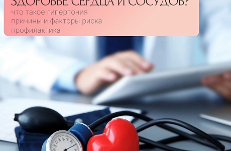 Профилактика артериальной гипертонии: как сохранить здоровье сердца и сосудов