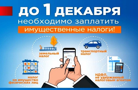 Уплатить имущественные налоги необходимо не позднее 1 декабря 2021 года Уплатить имущественные налоги необходимо не позднее 1 декабря 2021 года