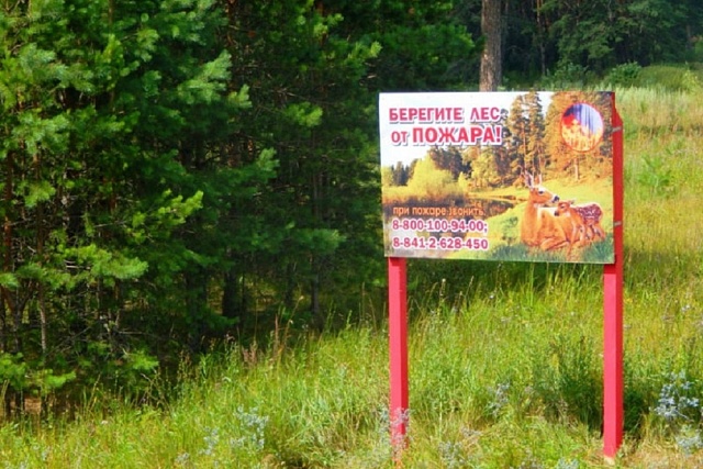 В Пензенской области стартовал пожароопасный сезон в лесах