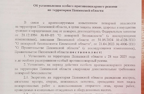 На территории Пензенской области с 28 мая 2025 года и до особого распоряжения введен особый противопожарный режим
