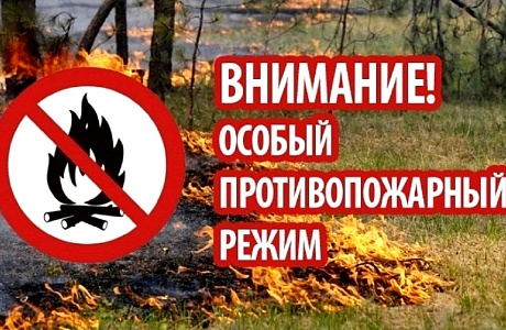 На территории Пензенской области с 1 июня 2024 года и до особого распоряжения введен особый противопожарный режим На территории Пензенской области с 1 июня 2024 года и до особого распоряжения введен особый противопожарный режим