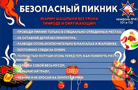 Безопасный пикник