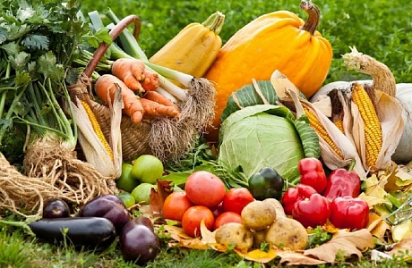 Эксперты Роспотребнадзора составили список продуктов октября, которые следует включить в осенний рацион Эксперты Роспотребнадзора составили список продуктов октября, которые следует включить в осенний рацион