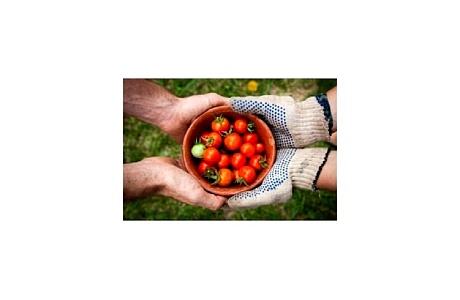 Предприниматели смогут продавать свежие продукты на Озон
