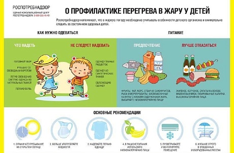 О рекомендациях, как избежать перегрева в жару