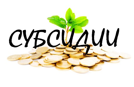 Стартовал прием заявок на предоставление субсидий Стартовал прием заявок на предоставление субсидий