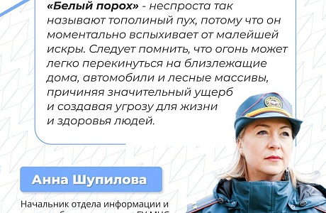 В регионе произошло порядка 10 пожаров из-за горения тополиного пуха В регионе произошло порядка 10 пожаров из-за горения тополиного пуха