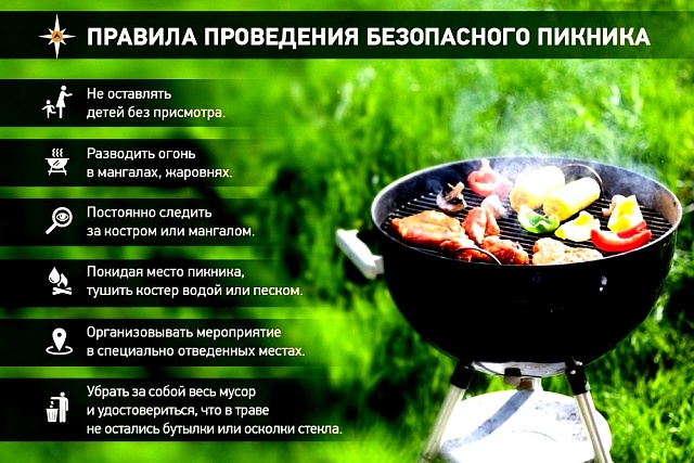 Правила поведения безопасного пикника