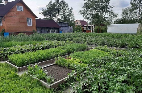 Закон «О дачной амнистии» продлен Закон «О дачной амнистии» продлен