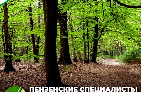 С началом теплых дней в Пензенской области зафиксировали первые случаи укуса клещей С началом теплых дней в Пензенской области зафиксировали первые случаи укуса клещей